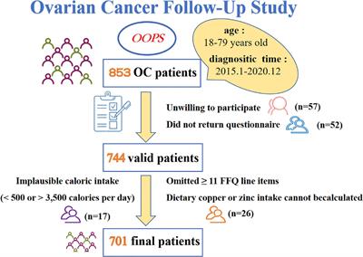 Association between pre-diagnostic dietary copper, zinc, and copper-to-zinc ratio and severity of ovarian cancer